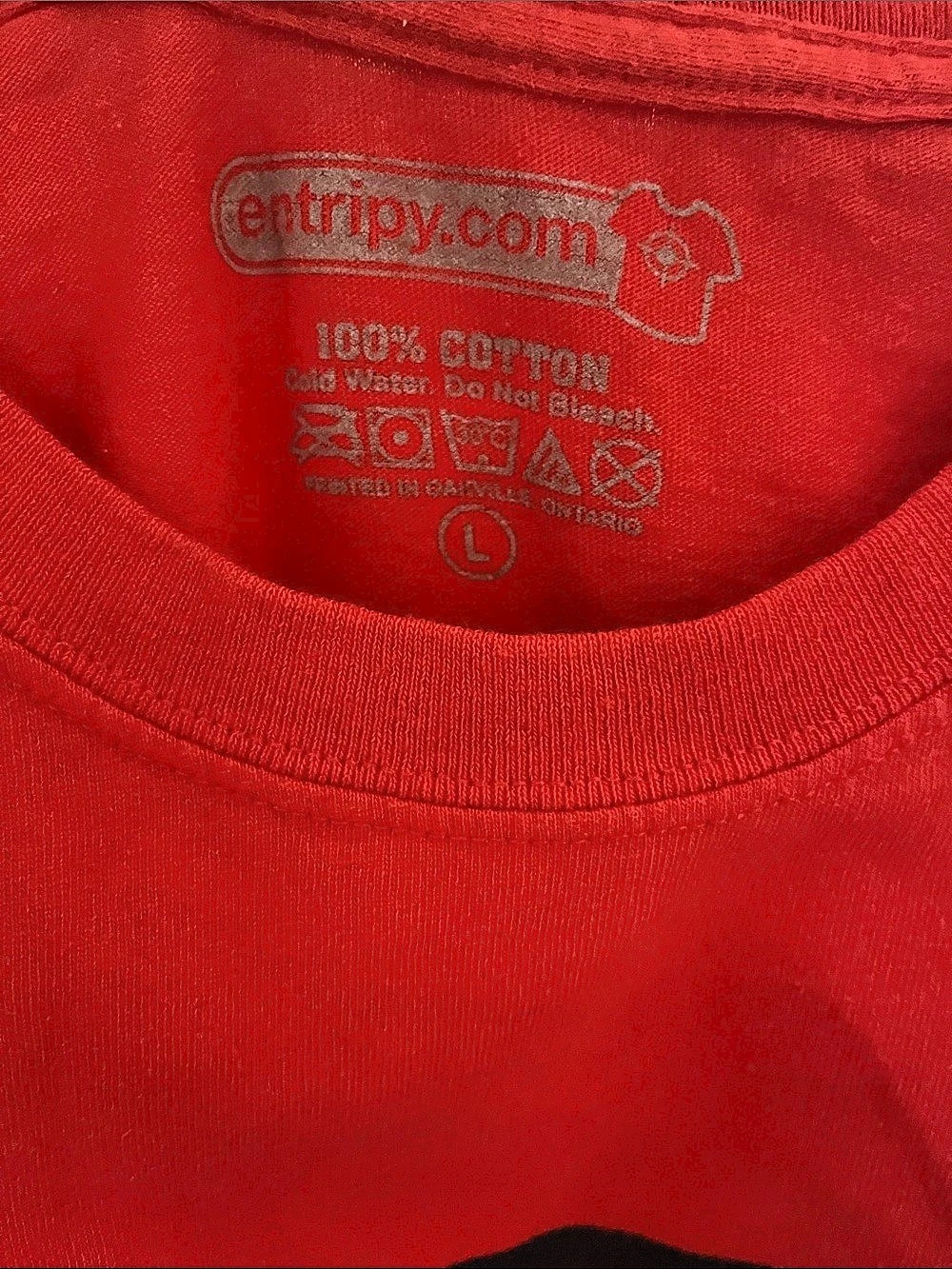 entripy.com Raptors Red Graphic Tee Size Large - Picture 2 of 4